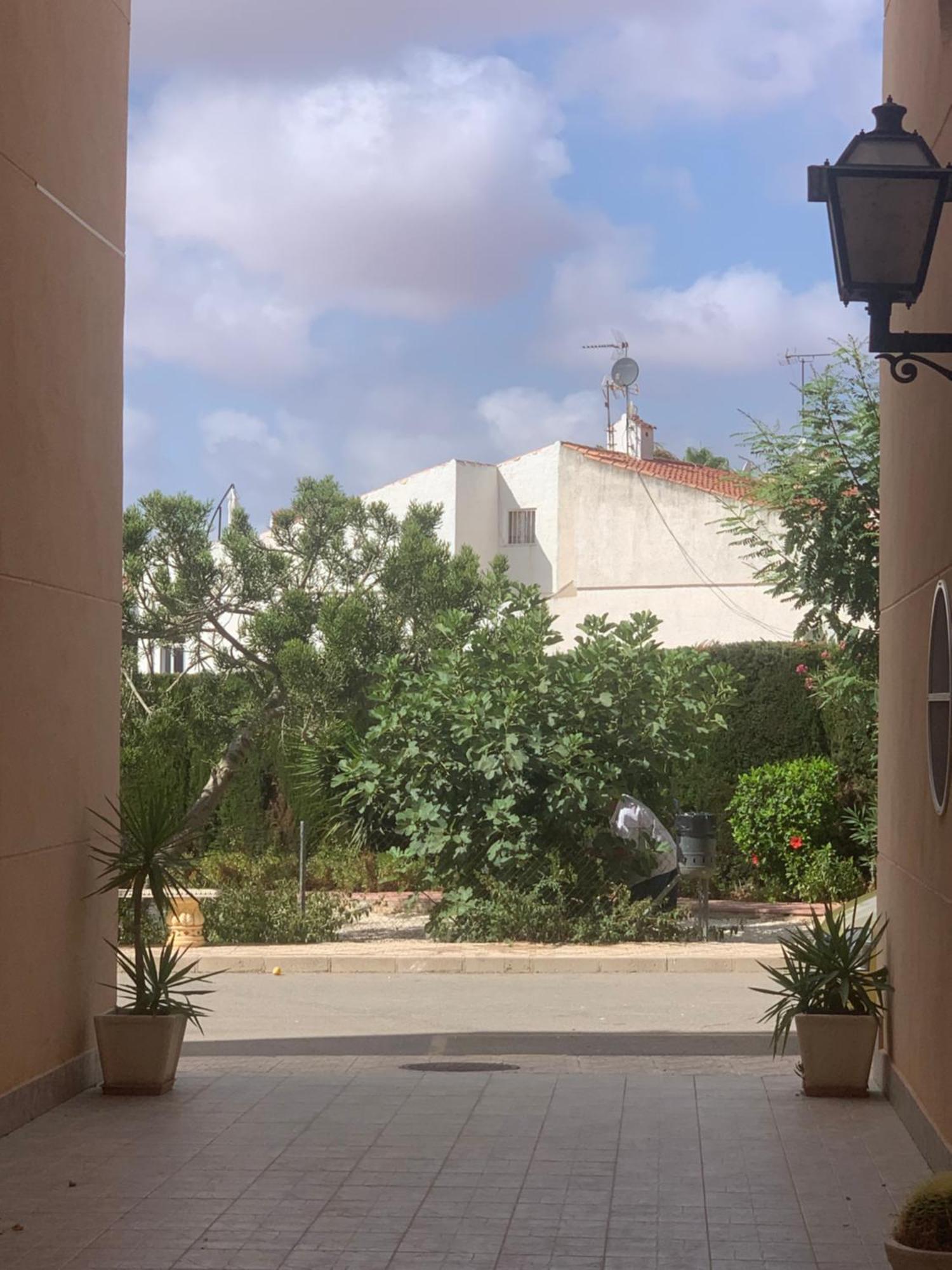 Tres Beau T4 Torrevieja Renove Et Moderne Leilighet Eksteriør bilde